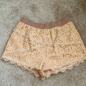 BCBG lace shorts